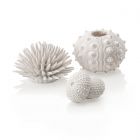biOrb Zee-egel Wit 3 Stuks