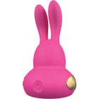 Rhythm by KamaSutra Rabbit Vibrator Chari Roze 9,5 cm 