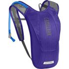 Camelbak Drinkrugtas Charm 1,45 l Paars/Grijs