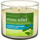 Bath & Body Works Geurkaars Eucalyptus Spearmint